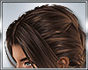 xBrown Hair 2 Braids