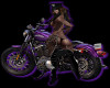 !Rae Harley purple