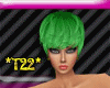 *T22* Hair Apple Green