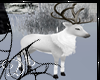 .:D:.White NightReindeer