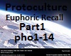 Protoculture Euphoric 1