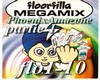 Floorfilla Anthema (P1)