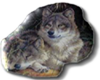 DF Wolf Icon 1