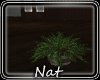 NT Middle Planter