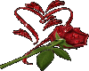HEART WITH ROSE..