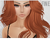 F| Jeannette Ginger