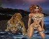 Cat and Tiger 7