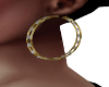 Animated Gold Earrings
