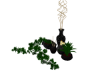 Pottery plant