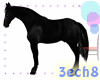 Romantic Black Horse