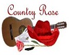 Country Rose Picture