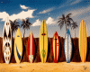 surfboards