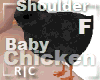 R|C Baby Chick Black F