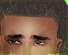 Brown FreeForm
