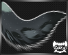 OBSERVER | Tail