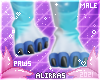 🌸; Snö Paws