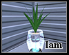 [Iam] Vased Plant