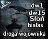 Drogoa wojownika
