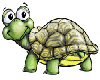 Turtle II