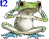 Hear No Evil Frog