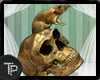 [TP] Skull Rats (ENH)