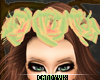 [CV]Spring Rose Crown 2