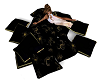 blk-gld Pillows w/poses