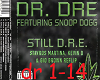 DR DRE-Still Dre (Remix)
