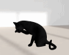 Animated Black Cat