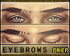 Pace Eyebrows+ Cuts