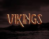 Viking DJ Spin Arena BDL