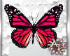 ! Butterfly Red