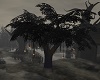 (GT)Eerie Swamp Tree