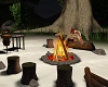 Campfire BBQ Time