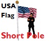 USA Flag Short Pole