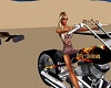 *PJ's* Harley bike