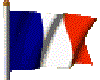 french flag Animated