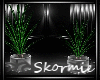 [SK]Plant