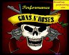 guns/roses  performance
