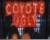 coyote club