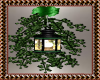 Green Xmas Lantern