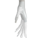 WhiteLtaex Gloves