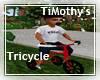 TiMothys Tricycle