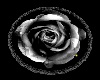 Dark rose rug