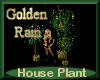 [my]Plant Golden Rain