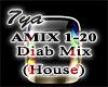 Amr Mix (house)