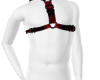 Incubus Harness