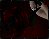 !VR! Mine Rose of Death