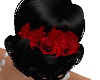 *W* Red Roses Hair 