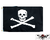 BR)Pirate Land Flag